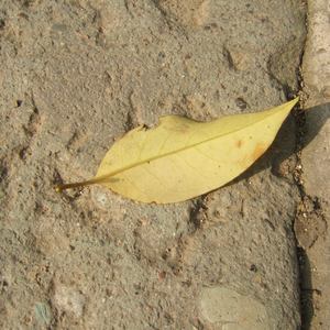 美女诱惑动态诱惑动态诱惑动态视频
