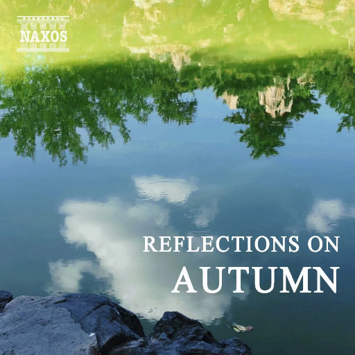 美女诱惑动态诱惑动态诱惑动态视频
